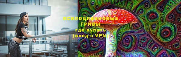 таблы Армянск